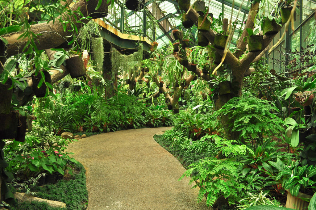 Jardín botánico y un camino