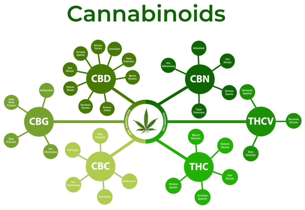 Ein Diagramm von Cannabinoiden