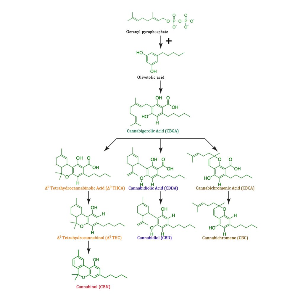 A diagram of different chemical equations