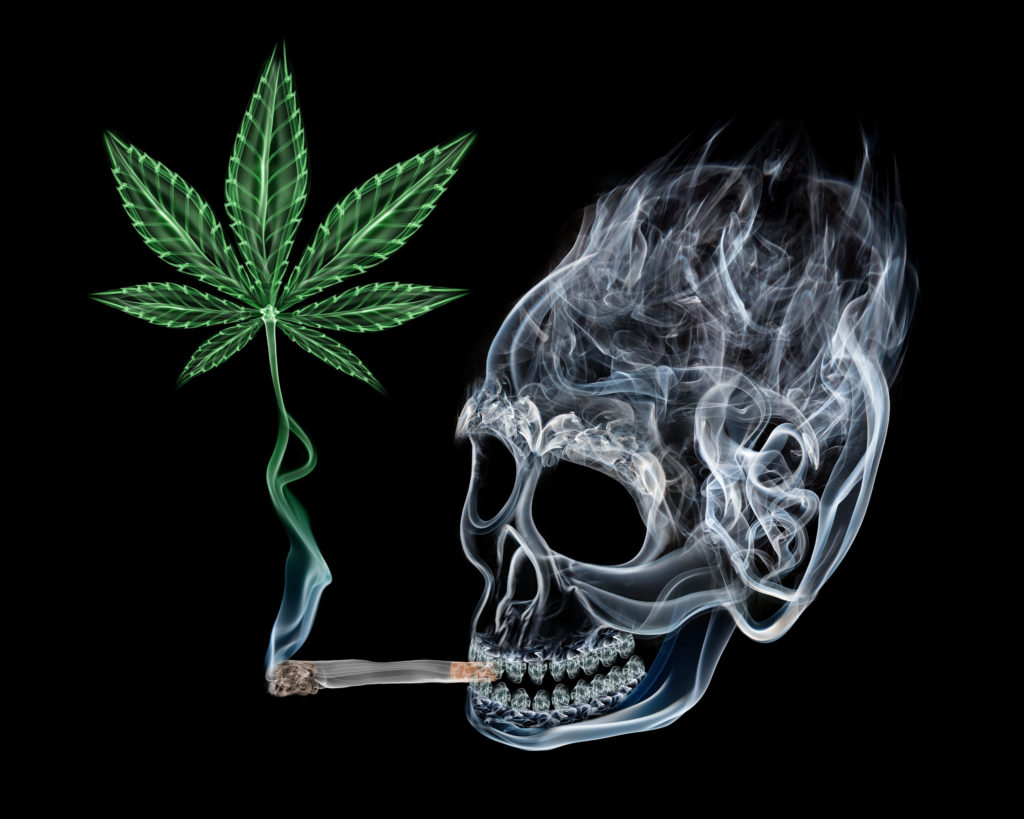 Un scull fumando una articulación y una hoja de cannabis contra el fondo negro.