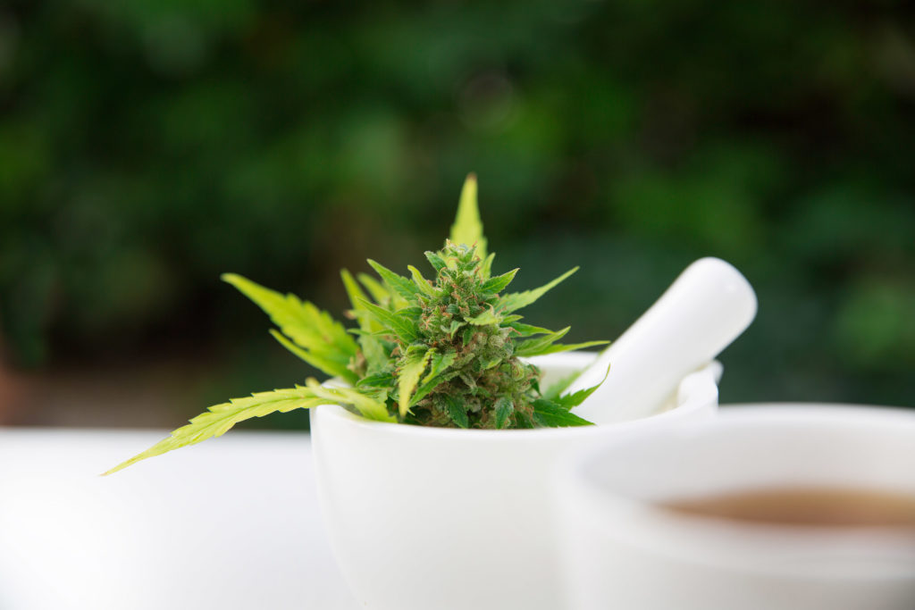 A cannabis plant in mortar and a pestle