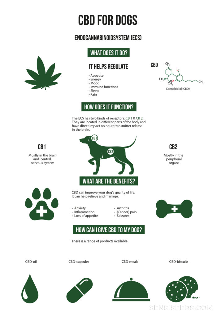 Een poster met de functie en voordelen van CBD voor honden