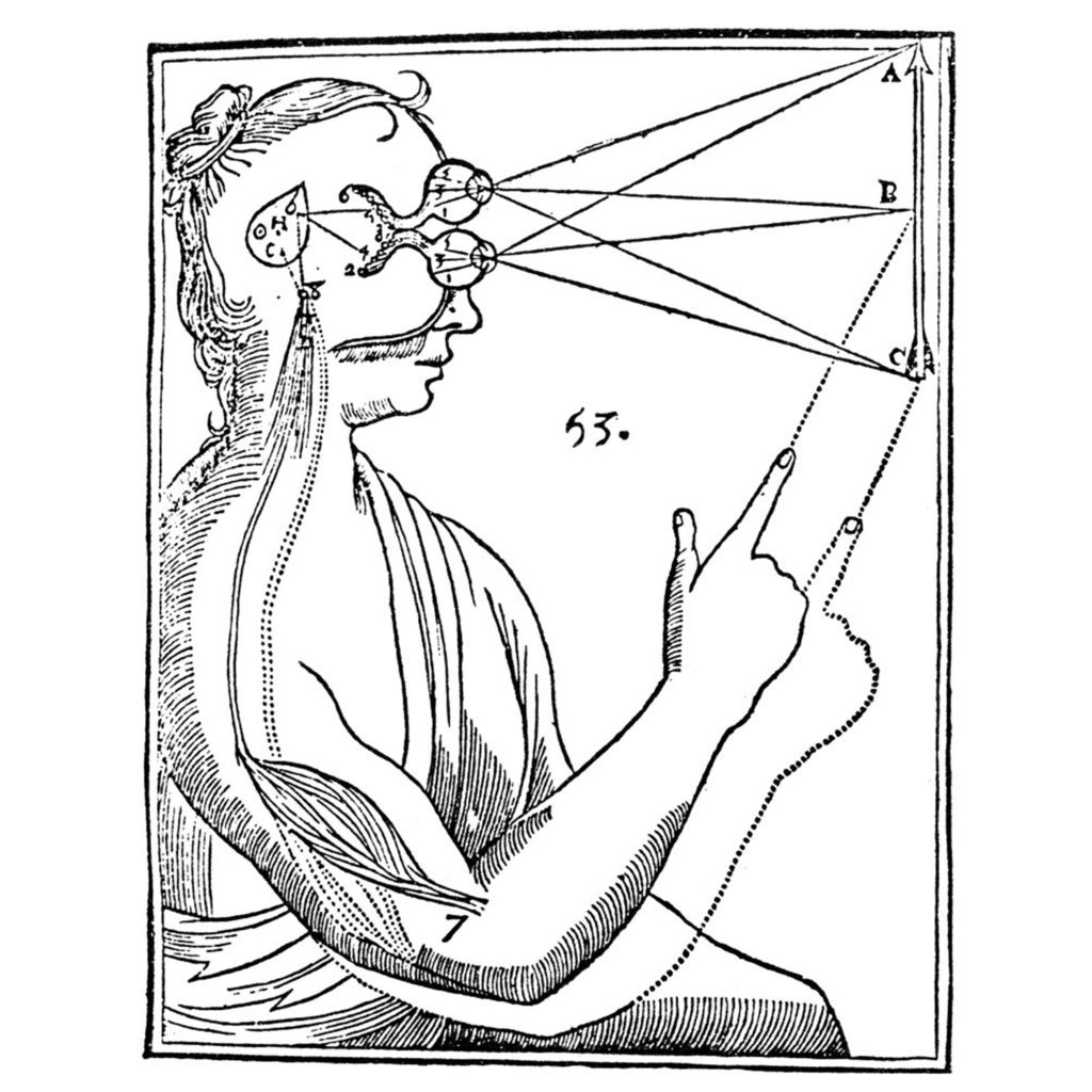 Un boceto de una mujer y una glándula pineal.