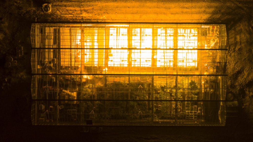 Cannabis growing inside a cage lit up with orange light