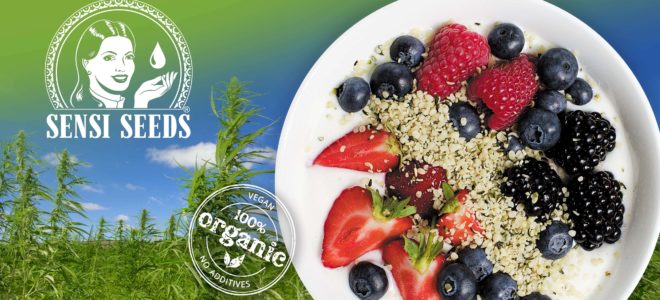 A white bowl of fruit, yoghurt and hemp against the backdrop of a hemp field