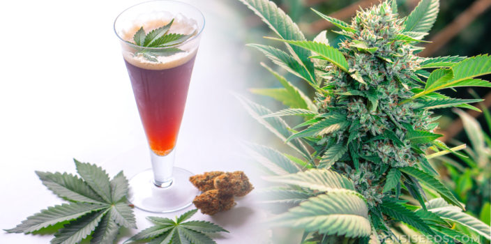 Un vaso de cerveza de cannabis y una planta de cannabis.