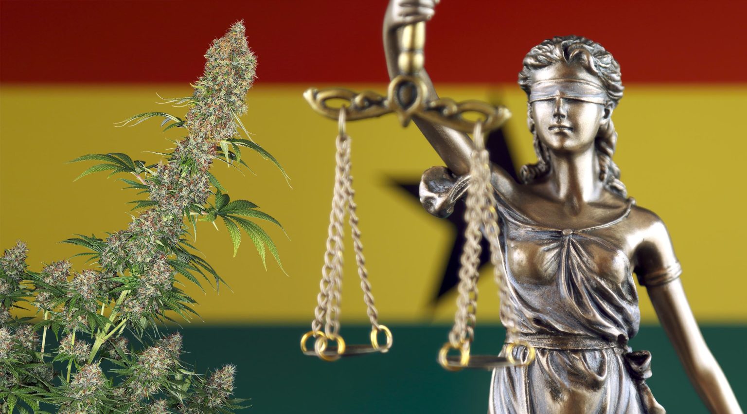 cannabis-in-ghana-laws-use-and-more-info-sensi-seeds