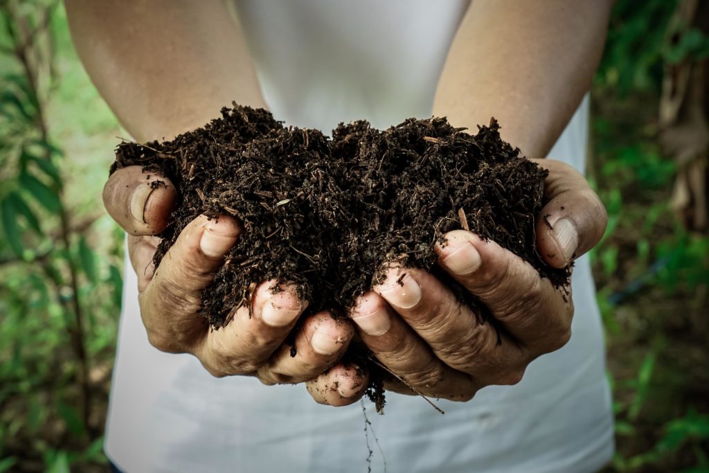 A person holding a handful of soil