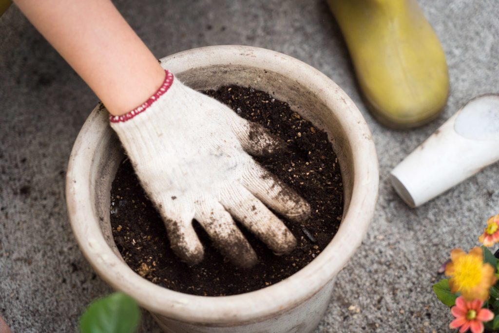 Een gehandschoende hand die wat aarde neer klopt in een plant pot