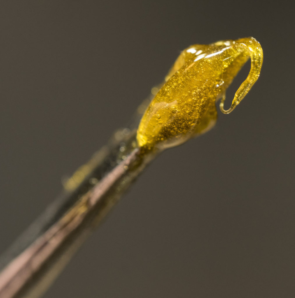 Rosin hash ready for use