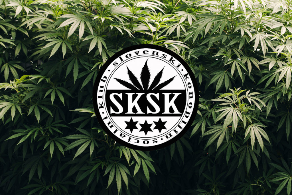 The logo of Slovenski Konopljin Socialni Klub and cannabis plants