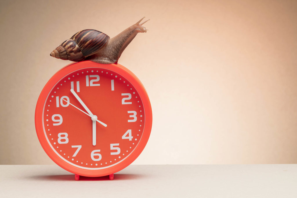 A snail on top of a red clock with white numbers