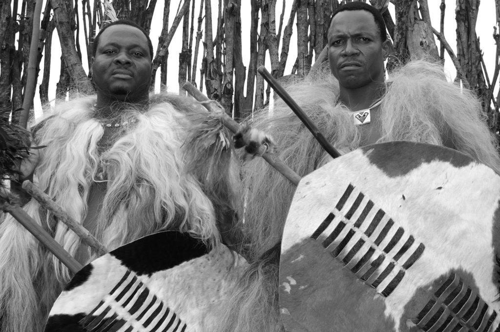 Two Zulu warriors wearing fur and holding shields