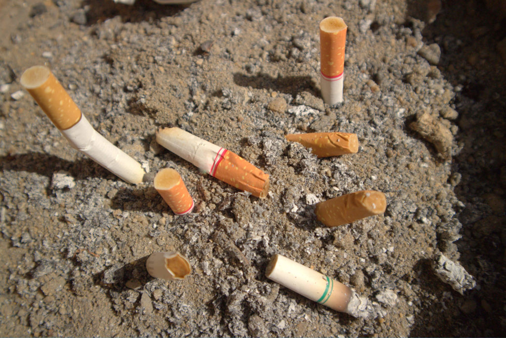 Put out cigarette butts in the ground 