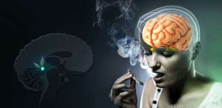 A woman smoking a joint and an animated brain with pineal gland