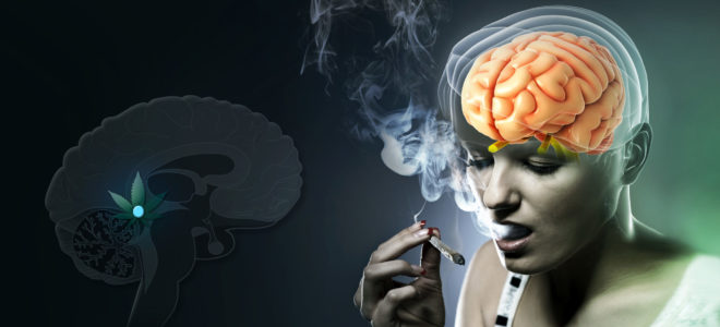A woman smoking a joint and an animated brain with pineal gland