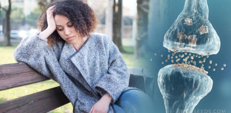 African-American woman sitting on a bench and animated endocannabinoid system