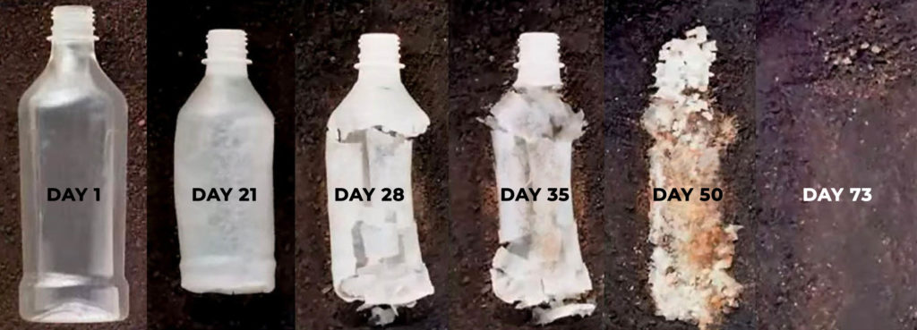 Decomposing stages of a biodegradable hemp plastic bottle