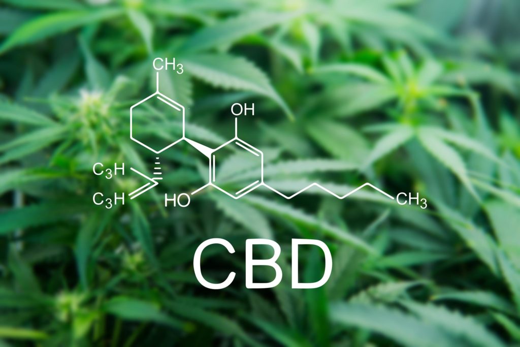 La formule chimique pour la CBD et une plante de cannabis