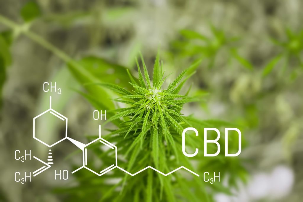 La fórmula química de las plantas CBD y cannabis.