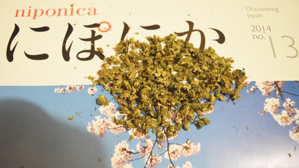 A scattering of cannabis buds