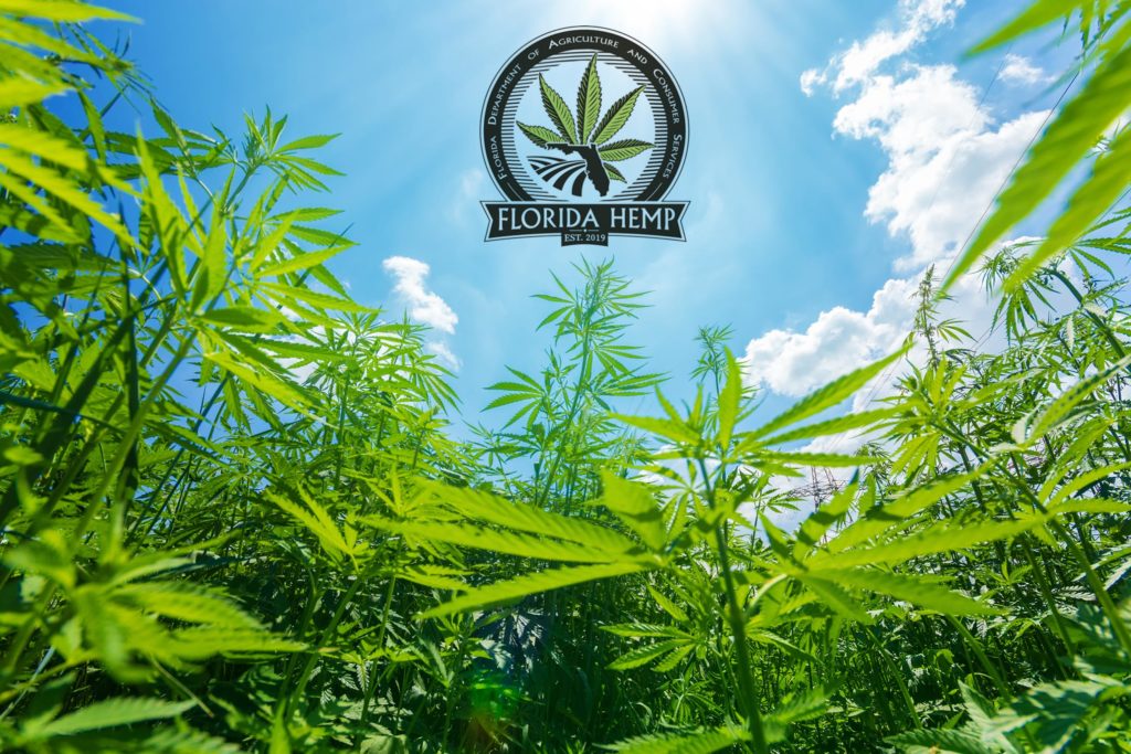 Un campo de cáñamo con el logotipo 'Florida HEMP'