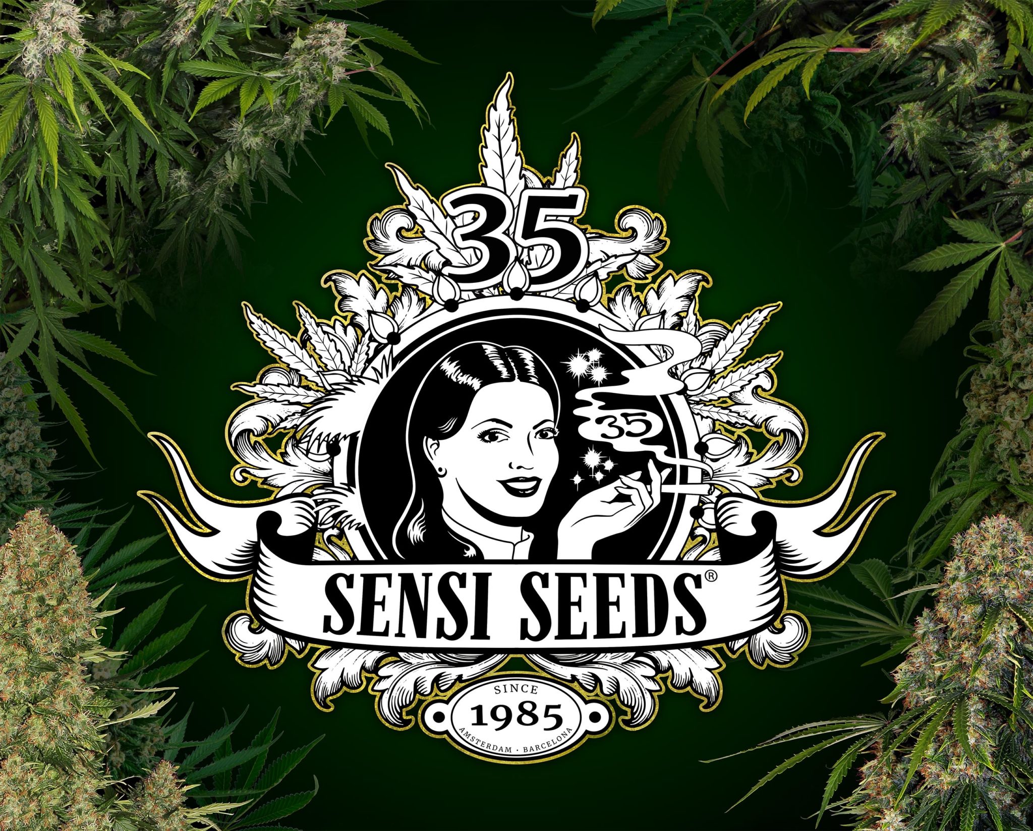 Sensi-Seeds-35-years-logo-2048x1648.jpg