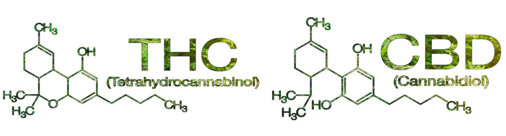 La estructura química de THC y CBD.