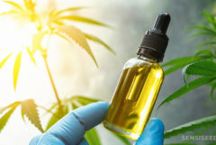 Een blauw-gehandschoende hand met een kleine druppelfles. Op de achtergrond zijn cannabisplanten