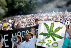 Menschen, die protestieren, um mit Number 420 und Cannabis Leaf zu singen