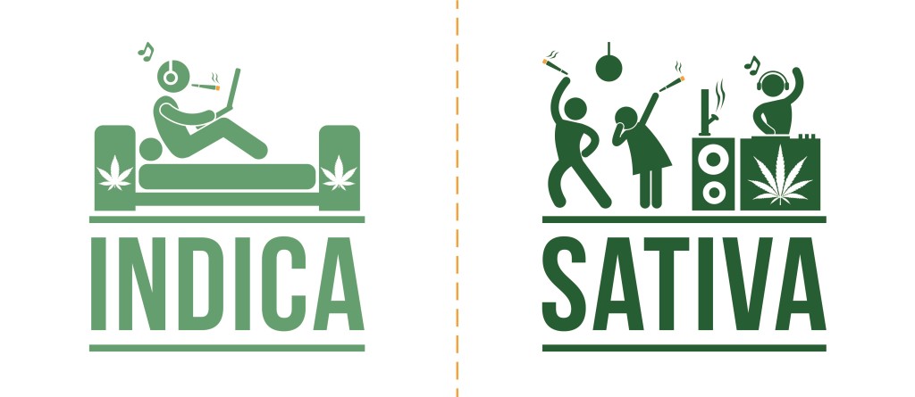 Un dessin d'un homme refroidissant avec écrit "indica" sous et des personnes faisant la fête avec "sativa" écrit sous "Sativa" sous