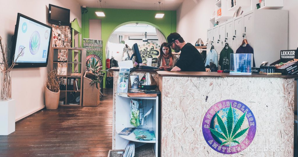 The interior of Amsterdam's Cannabis College