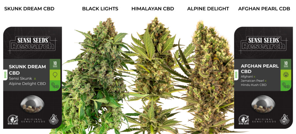 Various cannabis strains and seed packages against the white background