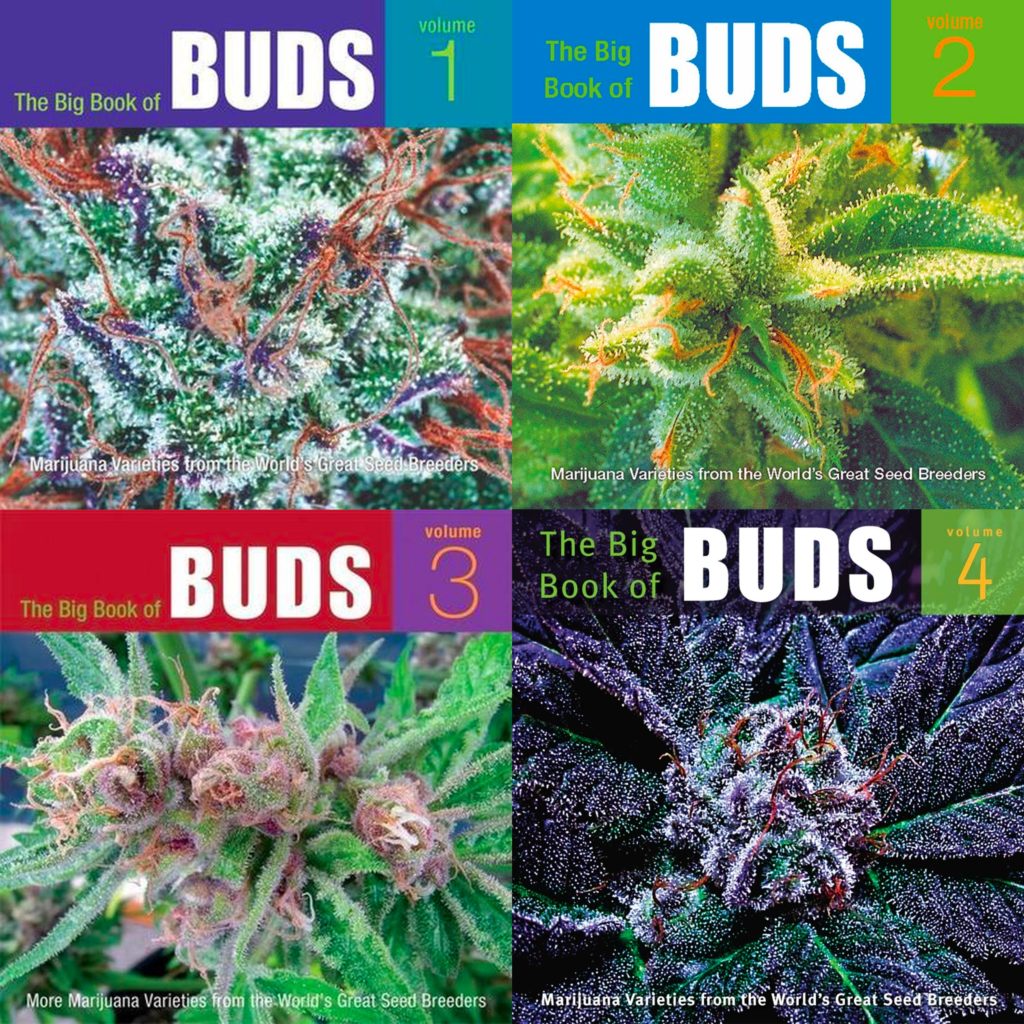 The book cover of The Big Book of Buds featuring a close-up cannabis plant