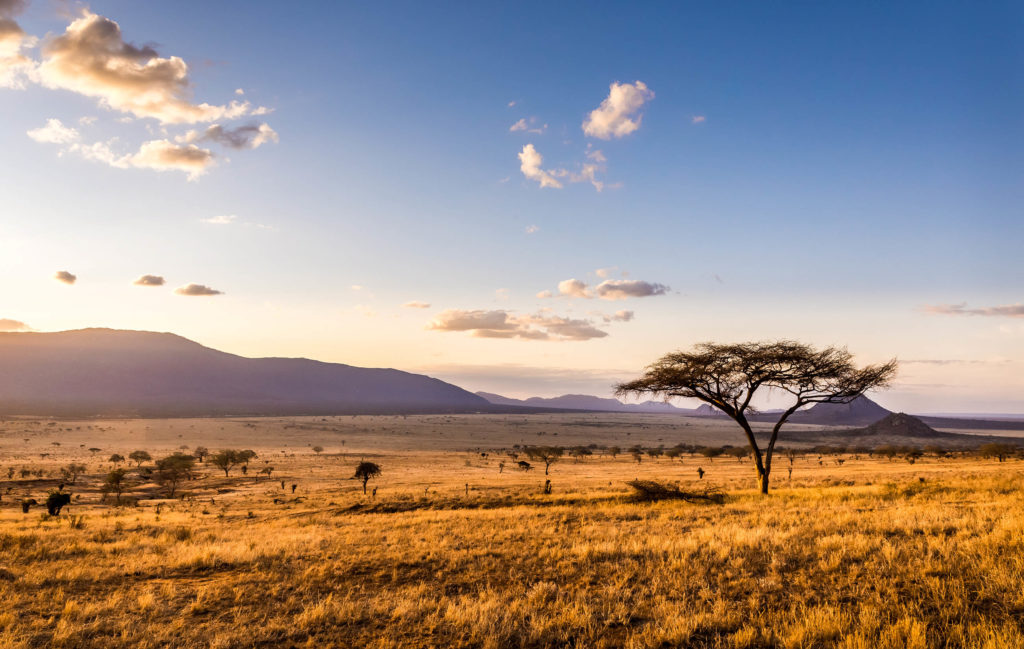 Una puesta de sol en Savannah Plains en el Parque Nacional Tsavo East, Kenia