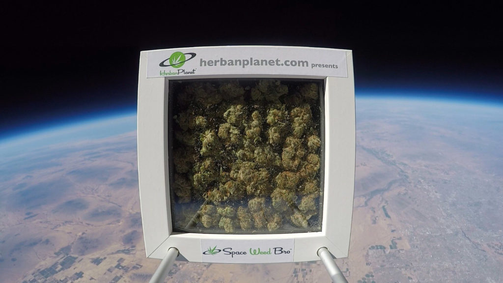 weed astronaut in space