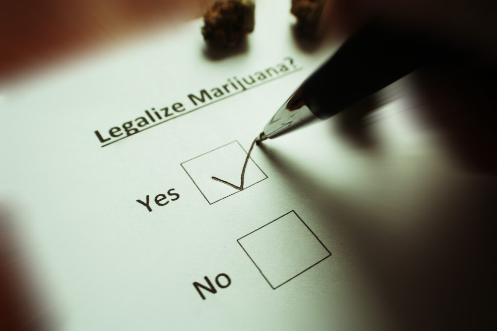 Paper with question ‘Legalize marijuana?’ and yes and no check boxes