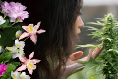 A girl smelling a cannabis flower and a bouquet of pink and white flowers