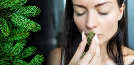 A woman smelling a dried cannabis flower and a pine tree beside the girl