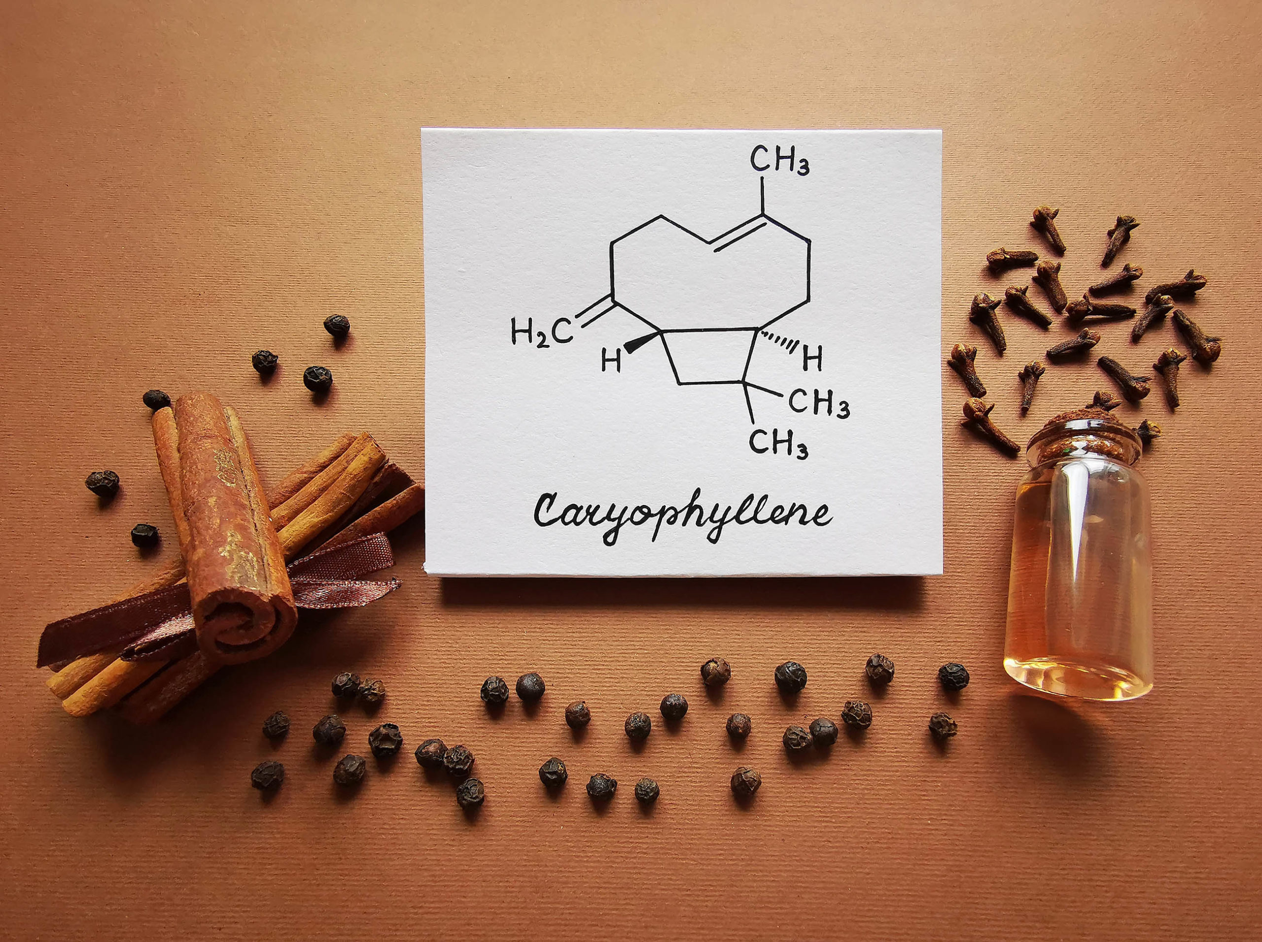 Une formule chimique de caryophyllène, des bâtons de cannelle, des grains de poivre et des clous de girofle