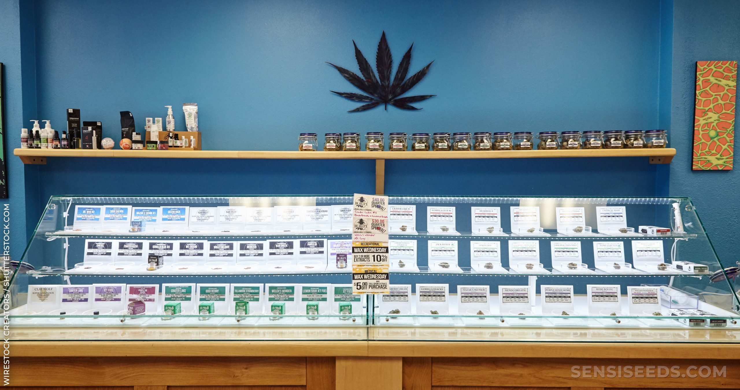 Showcase mit Cannabisprodukten in Cannabis -Apotheke und blauer Wand mit Cannabisblatt dahinter