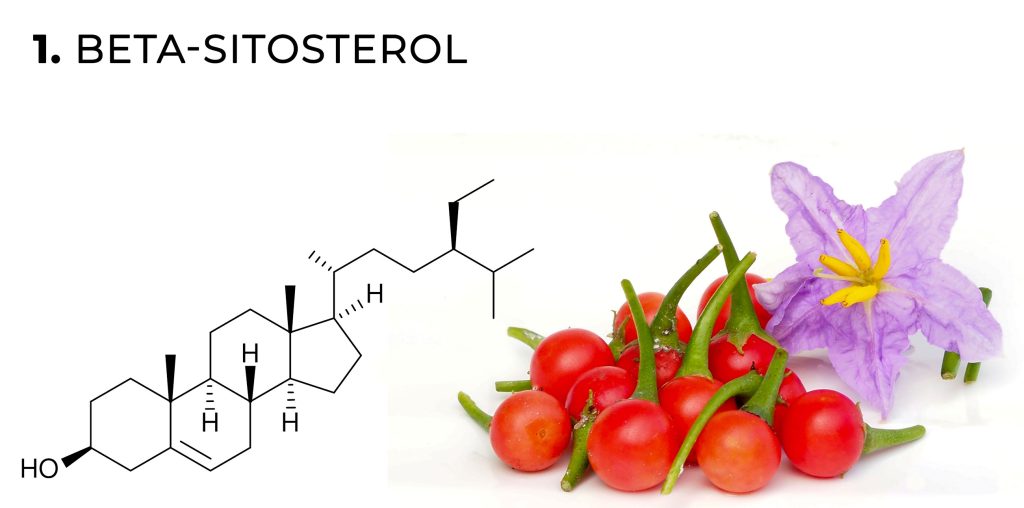 Una fórmula química de flavonoides beta-sitosterol y pimientos rojos con forma de cereza y flor morada