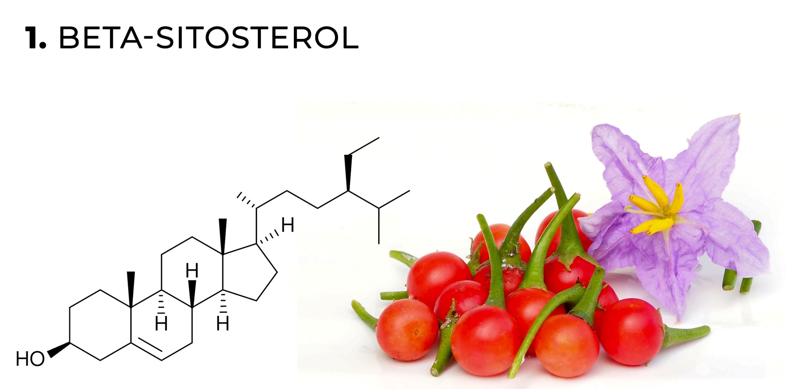 Eine chemische Formel von Beta-Sitosterol-Flavonoid und kirschartiger roter Paprika und lila Blume