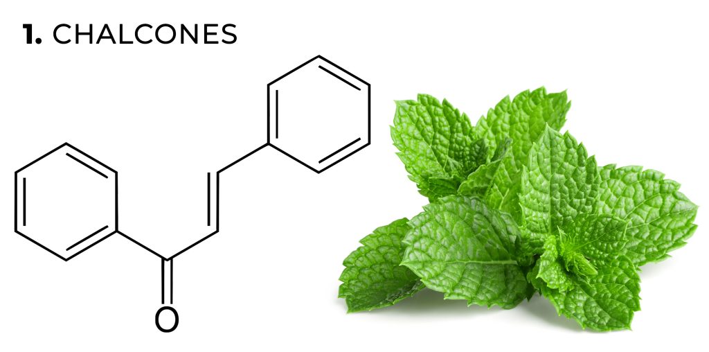 Una fórmula química de chalcones y hojas de menta contra el fondo blanco