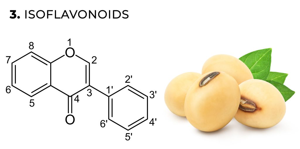 Una fórmula química de isoflavonoides y frijoles de soya contra el fondo blanco