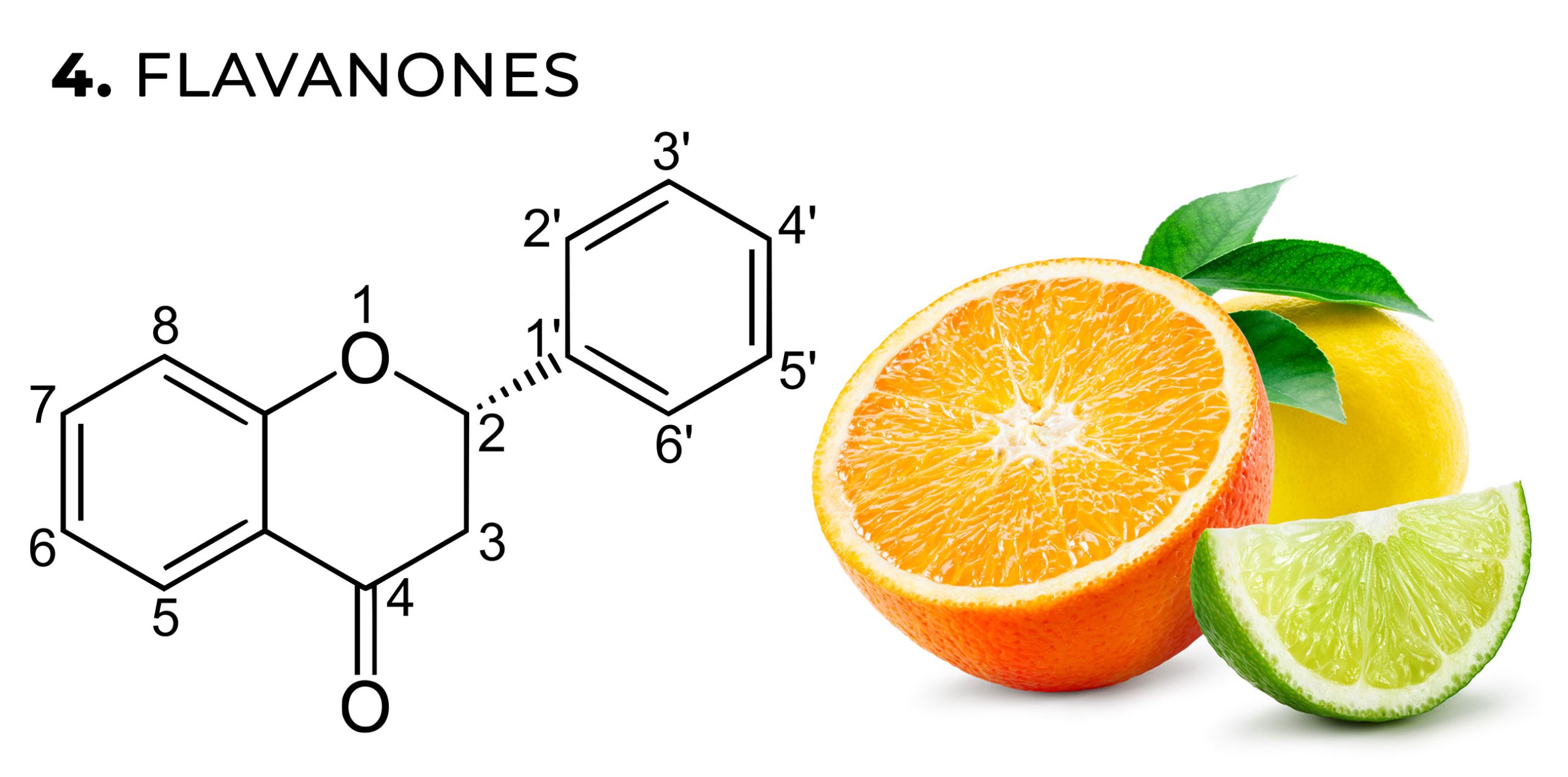 Eine chemische Formel von Flavanonen und eine Orange, Limette und Zitrone vor dem weißen Hintergrund