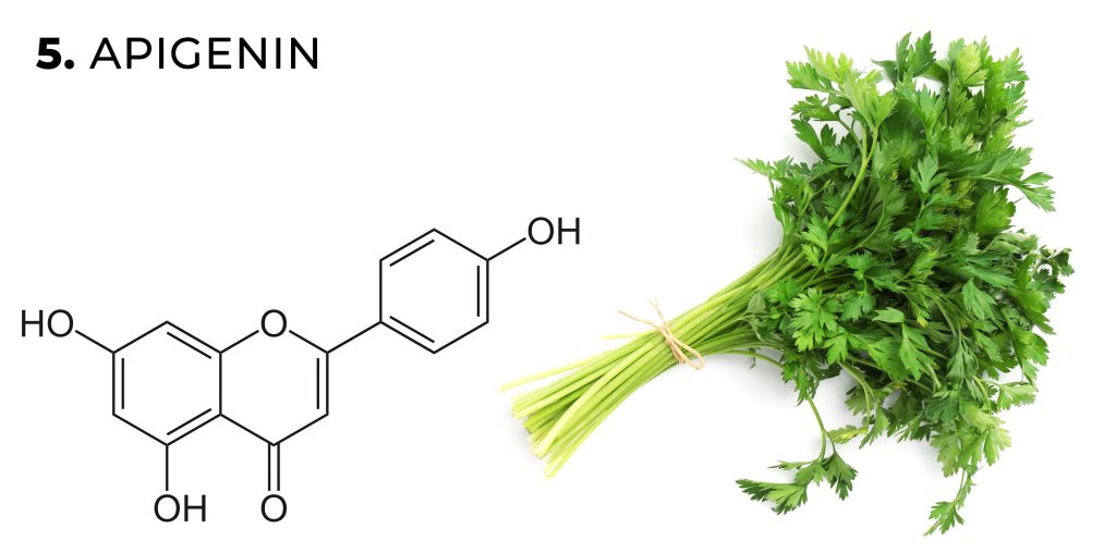 Una fórmula química de flavonoide de apigenina y perejil fresco contra el fondo blanco