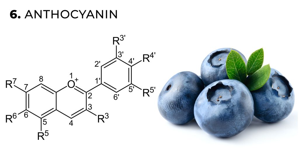 Una fórmula química de antocianinas y arándanos contra el fondo blanco