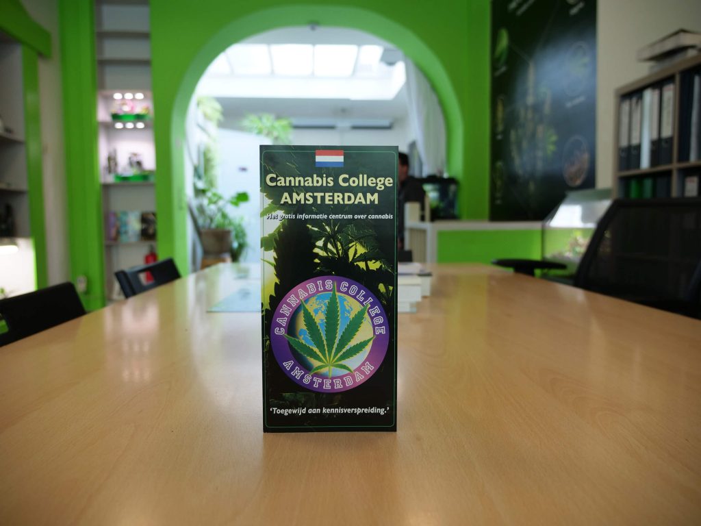 Amsterdam’s Cannabis College: Public Cannabis Education - Sensi Seeds