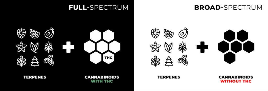 Full-spectrum tinctures and terpenes on a black background, broad-spectrum tinctures and terpenes on a white background